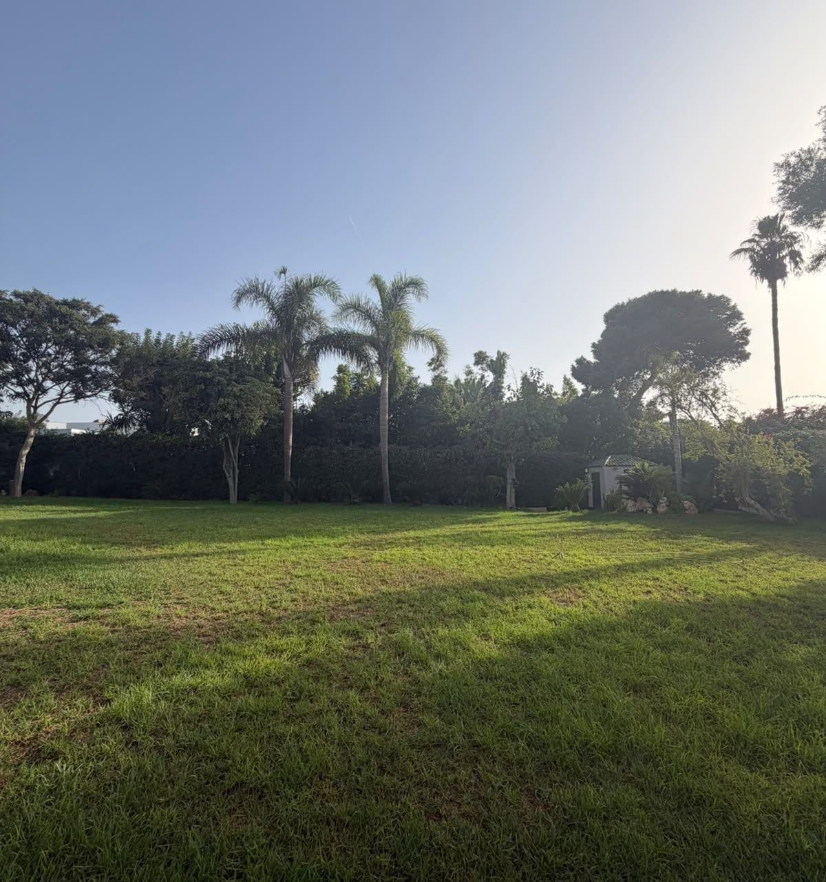 /ci215309/image_269416811.jpeg