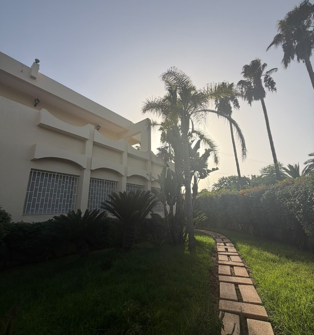 /ci215309/image_33396760.jpeg