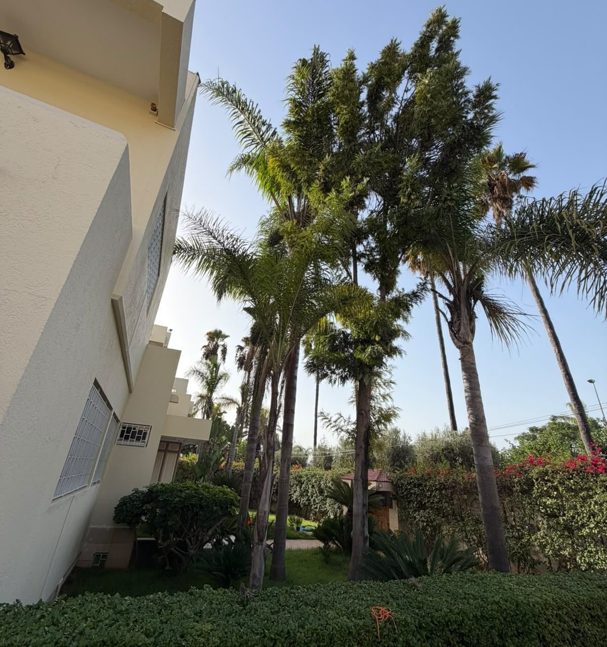 /ci215309/image_44967292.jpeg