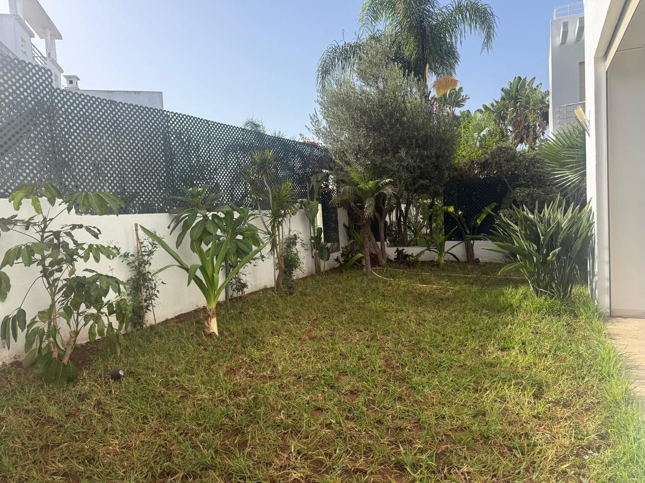 /ci215820/image_866256204.jpg