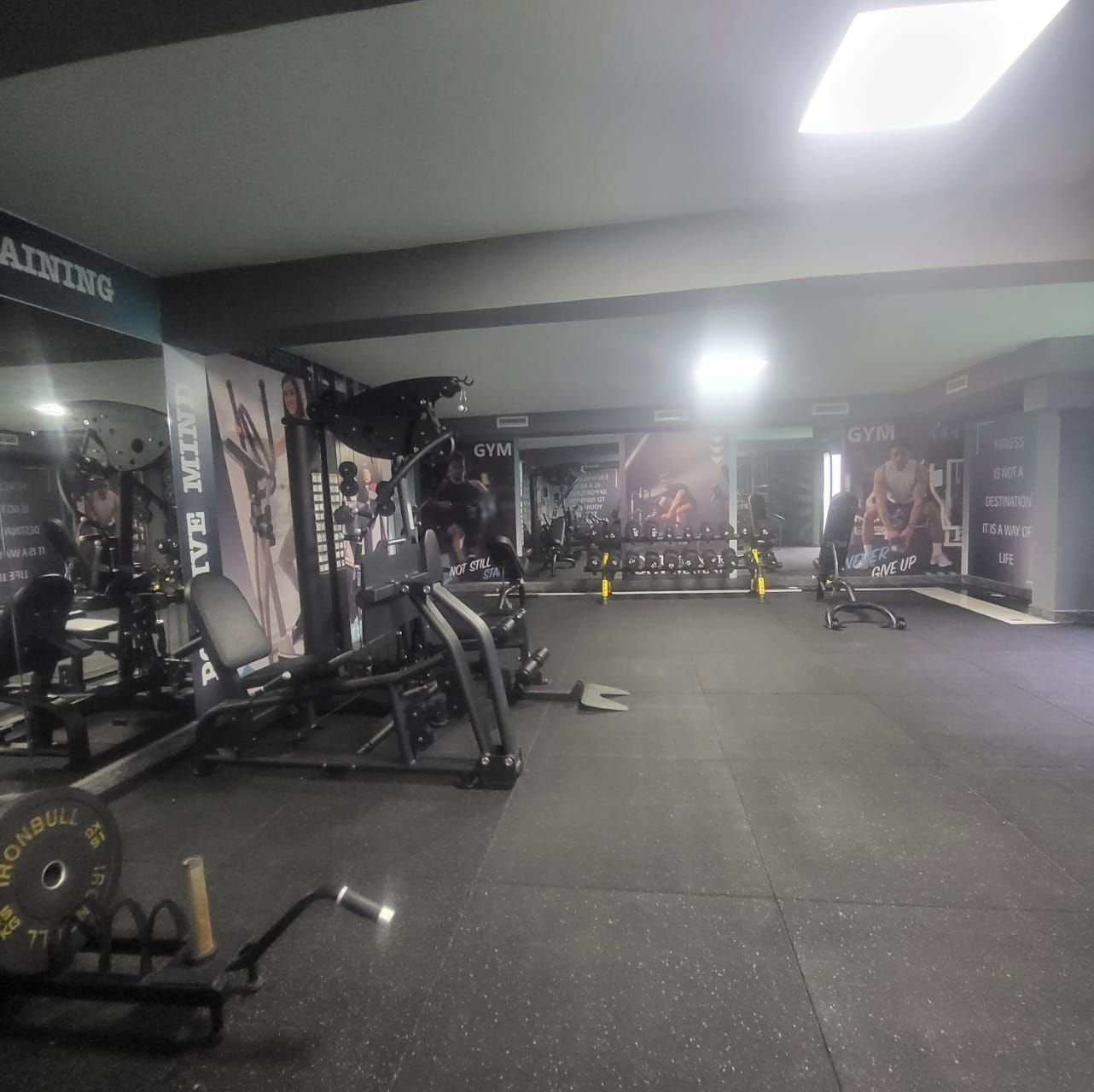 /ci216280/image_224019197.jpeg