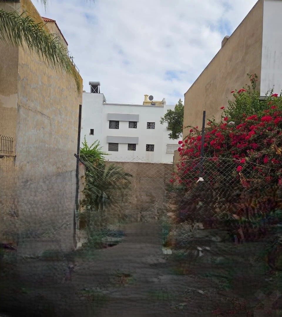 /cl211161/image_732856567.jpg