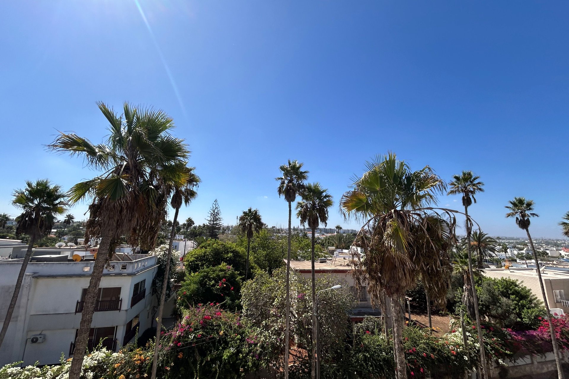 /cs193886/image_359241853.jpeg