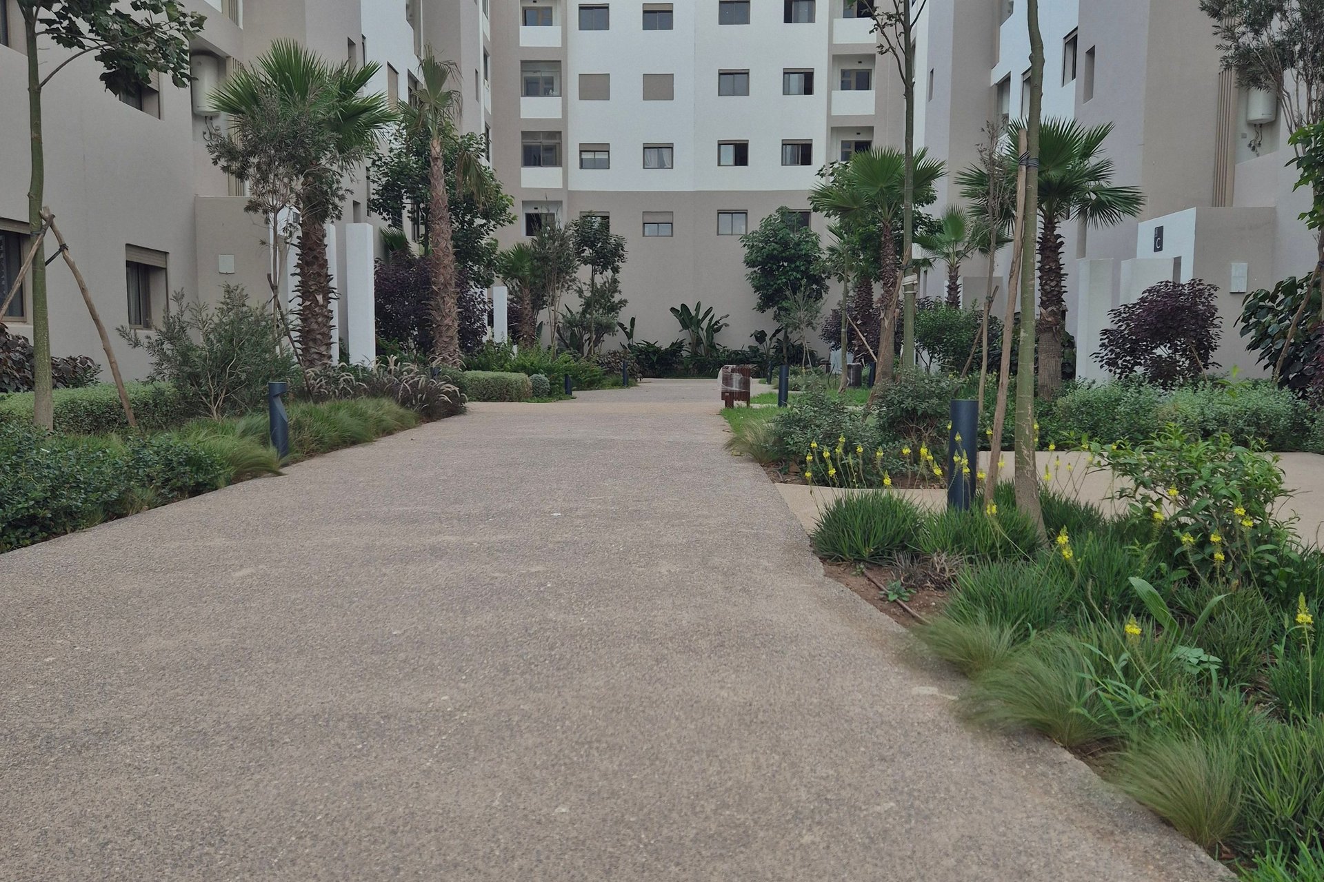 /cs5000021/image_746851211.jpg