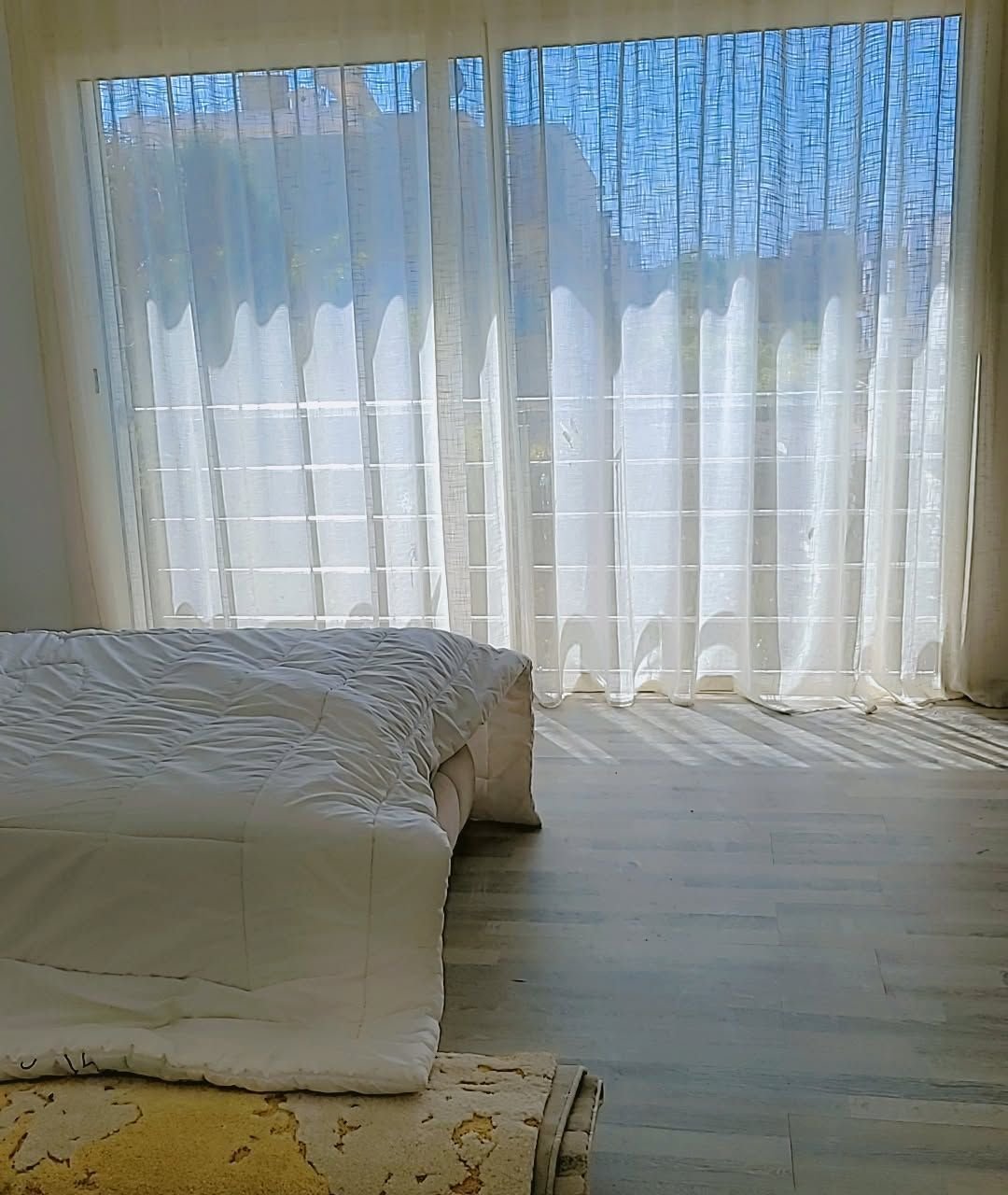 /di187172/image_238915006.jpg