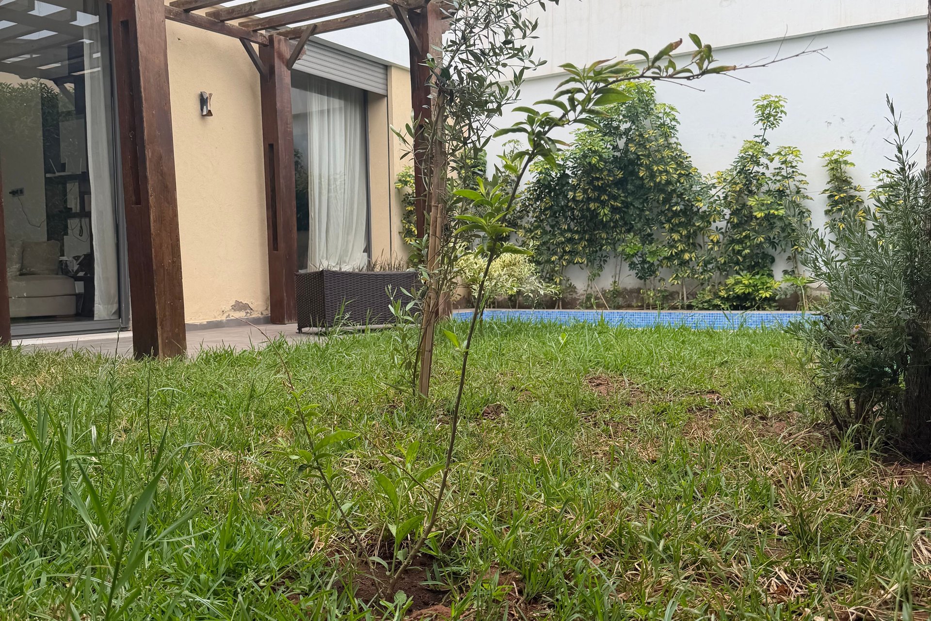/di193634/image_625542365.jpeg