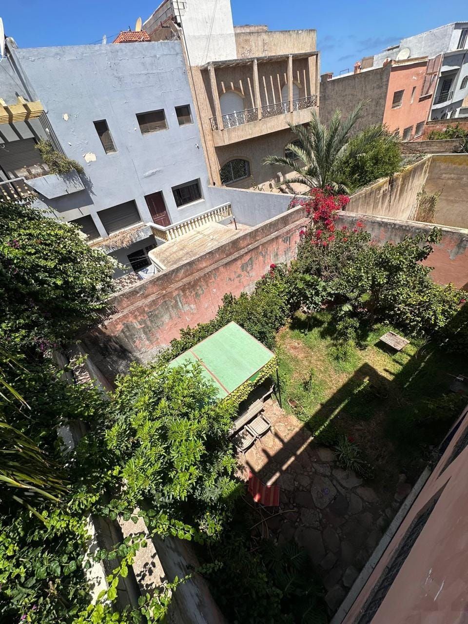 /di215828/image_756591463.jpg