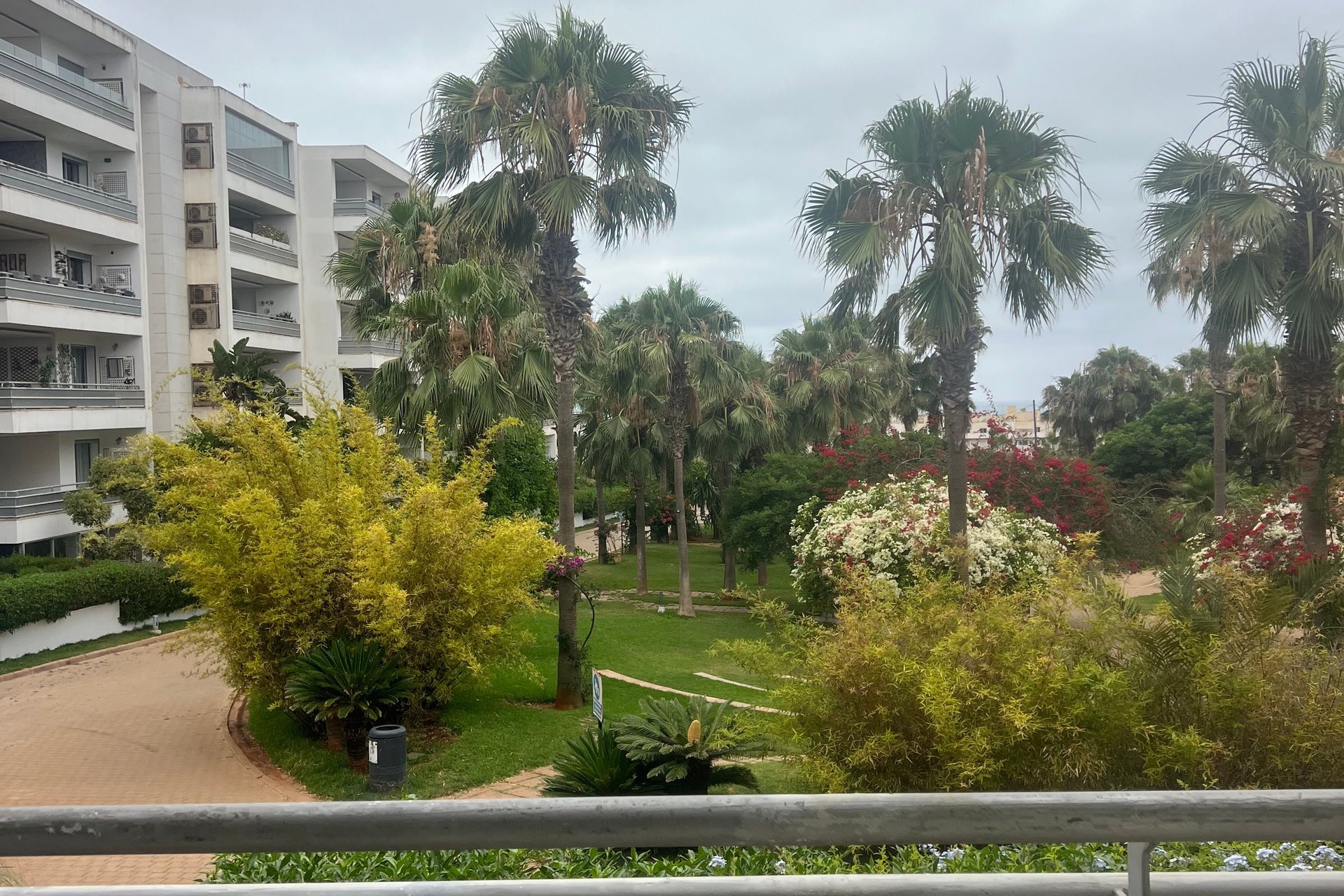 /ii199106/image_750244796.jpg