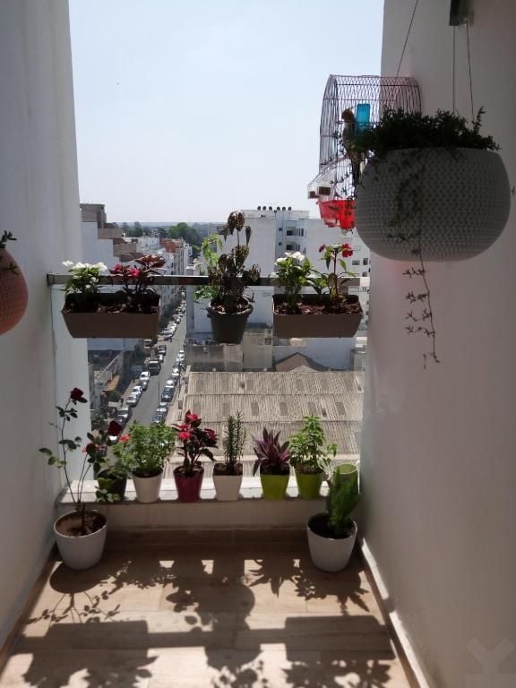 /ka148926/image_750984418.jpg