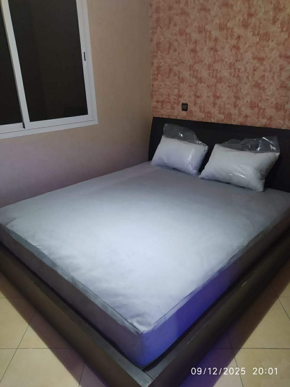 /ki186698/image_365780379.jpeg