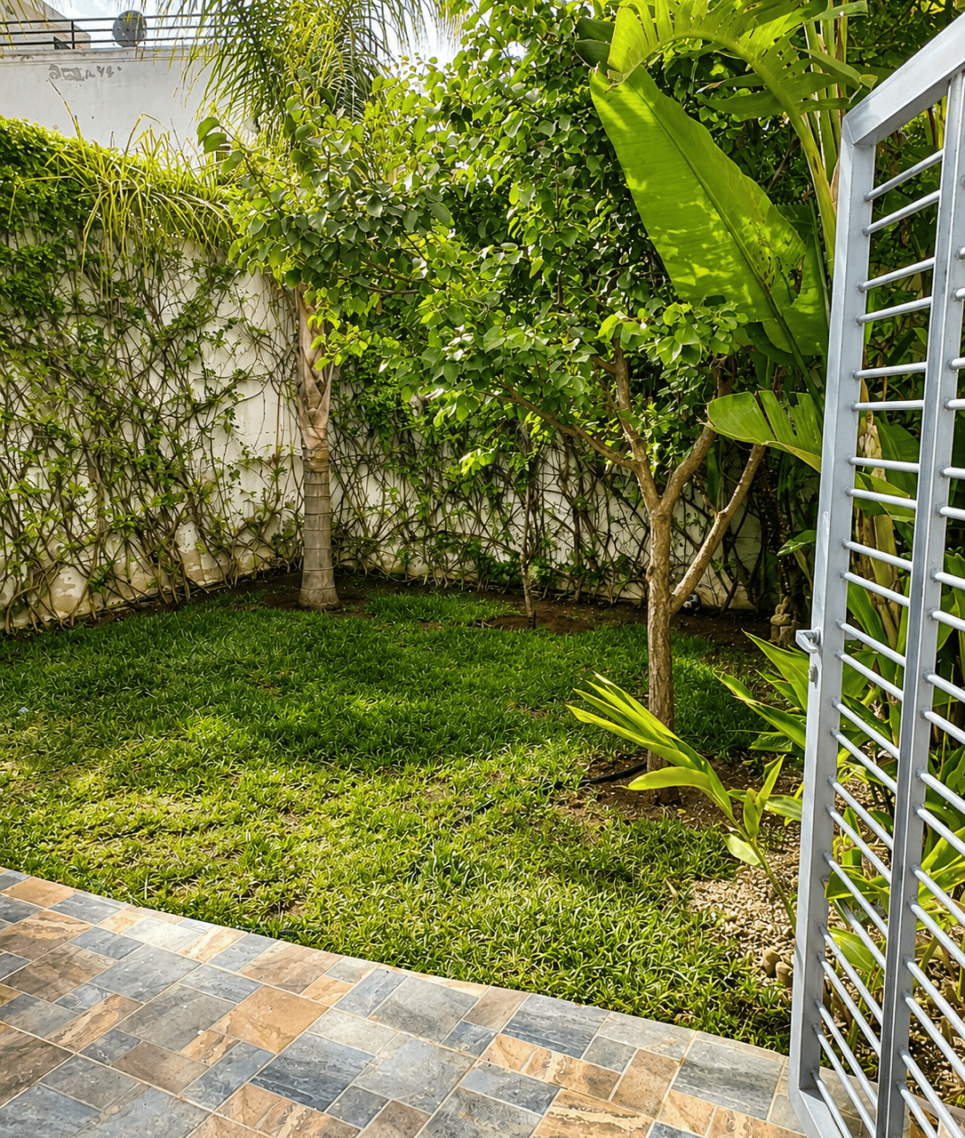 /ki205305/image_18900330.png