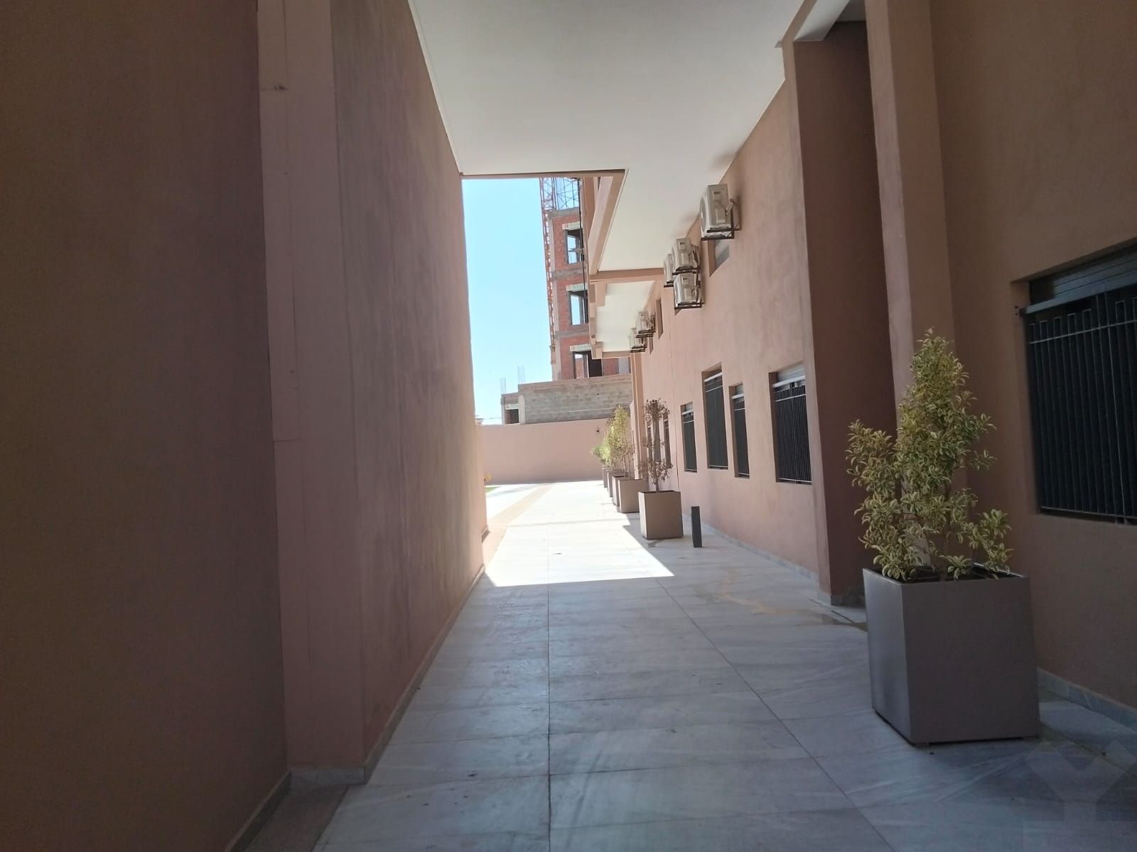 /ma174459/image_932778430.jpeg