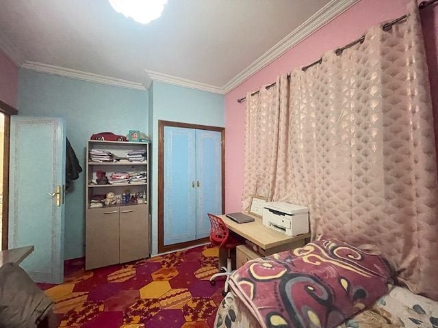 /ma183824/image_406136013.JPG