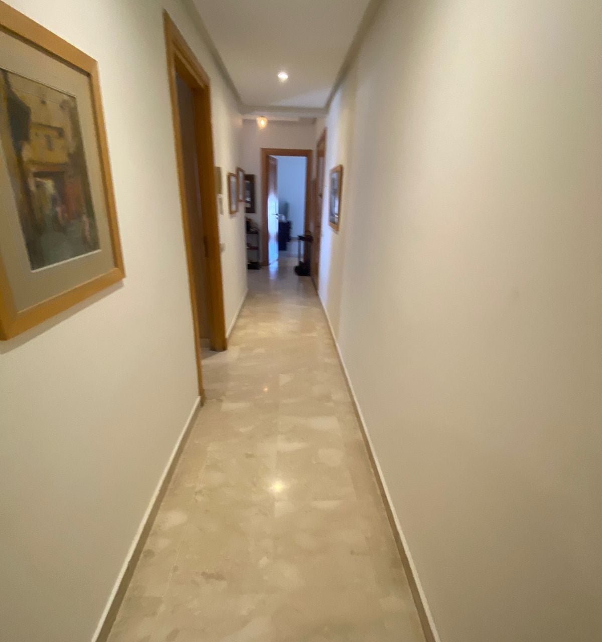 /ma195311/image_73223377.JPG