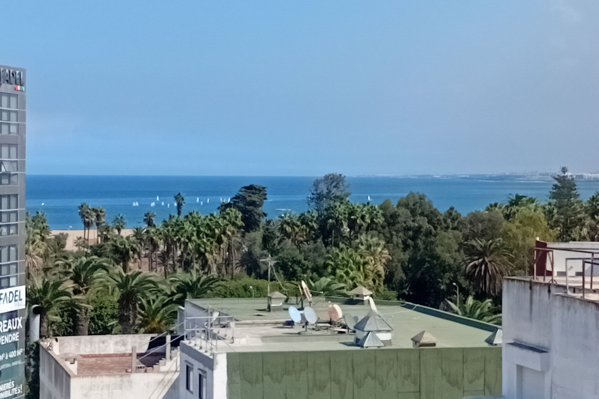/ma5002172/image_430266255.jpeg