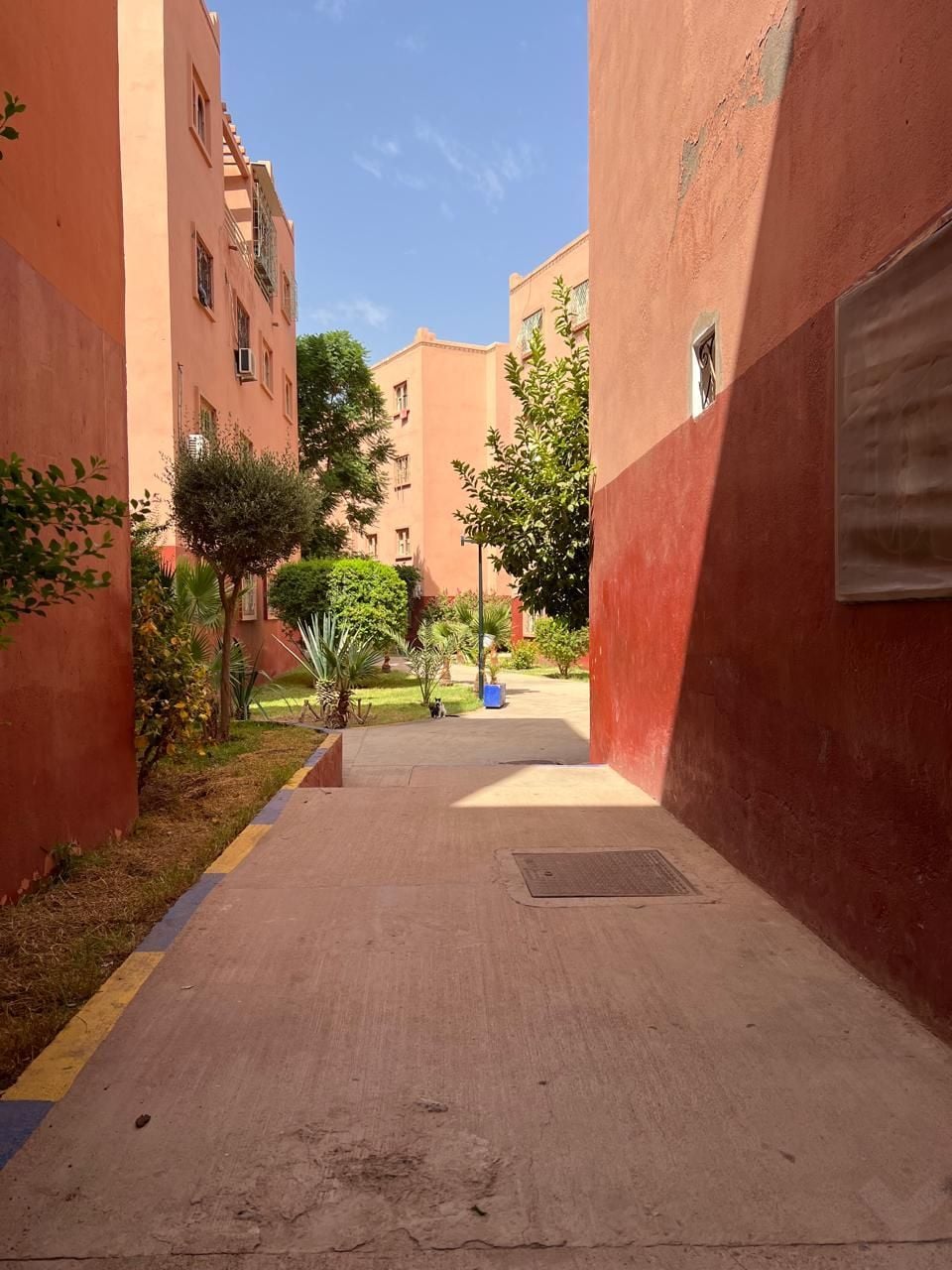 /mi175750/image_154353681.jpeg