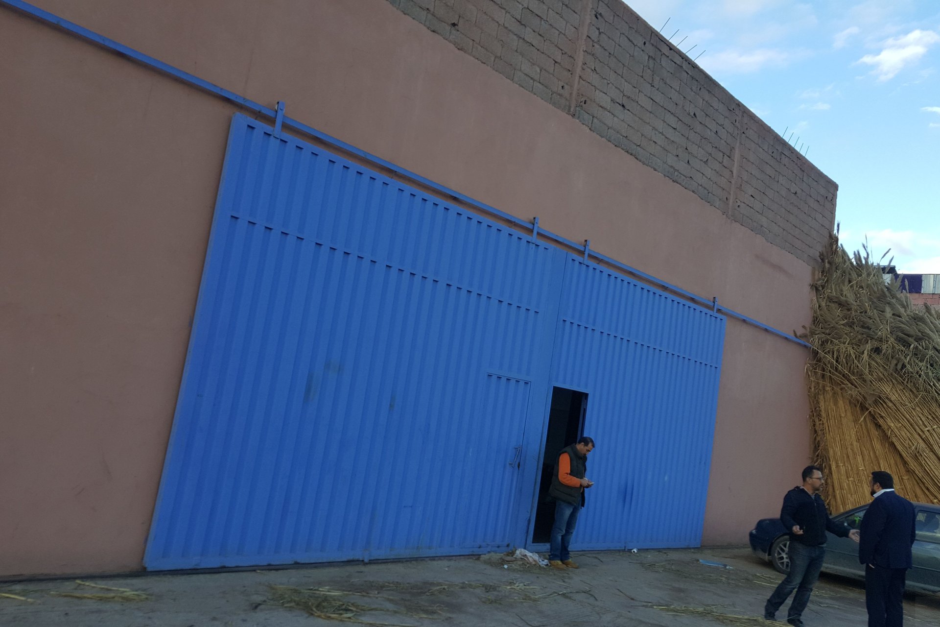 /mi185521/image_137295582.jpg