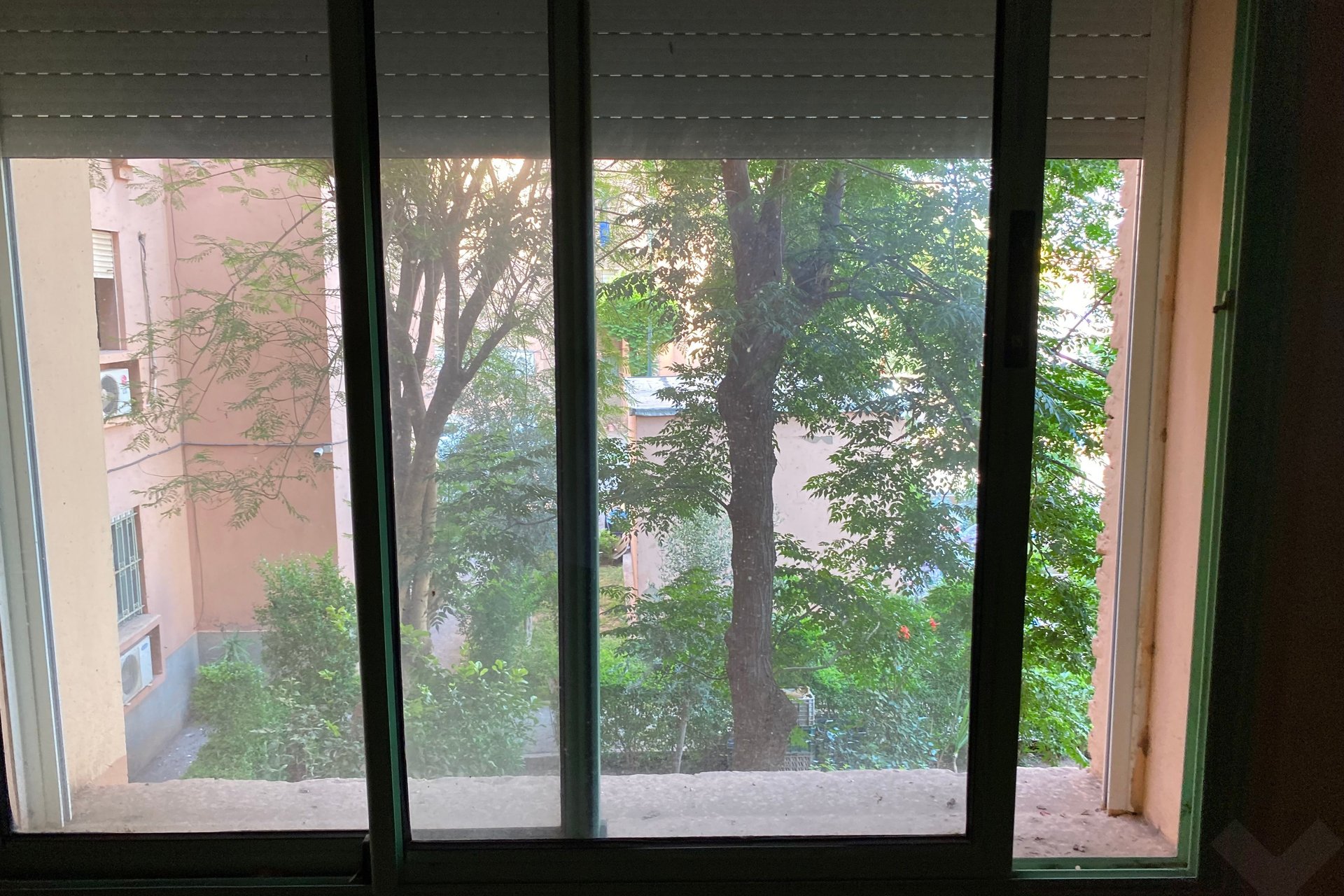 /mi188496/image_368642721.jpeg