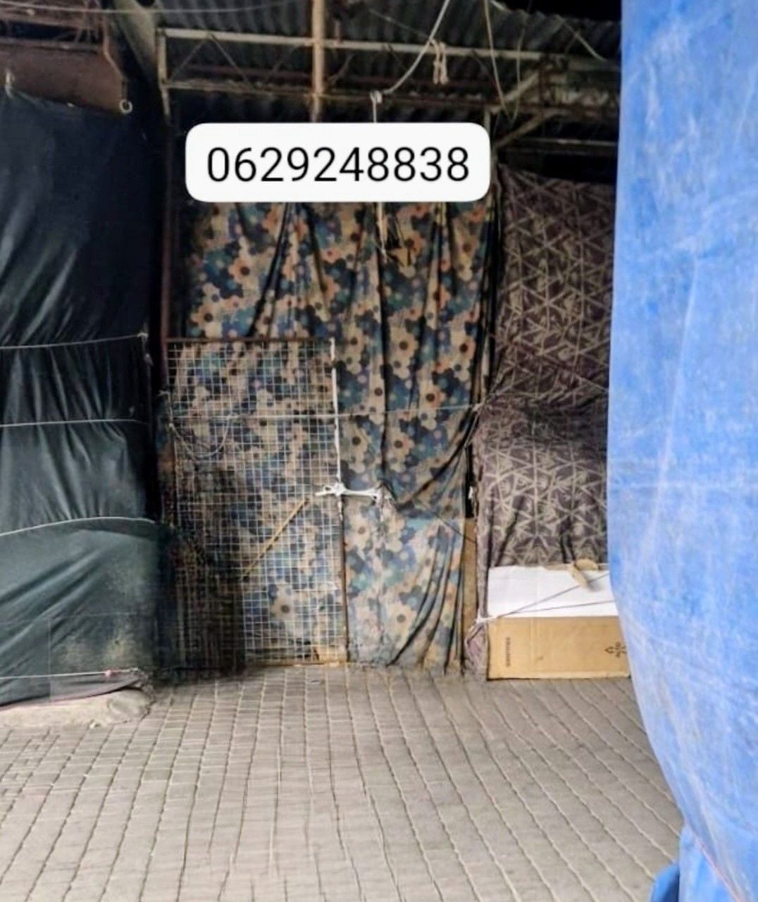 /mi188511/image_340995855.jpg