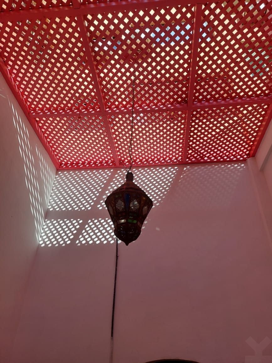 /mi190505/image_628914394.jpeg