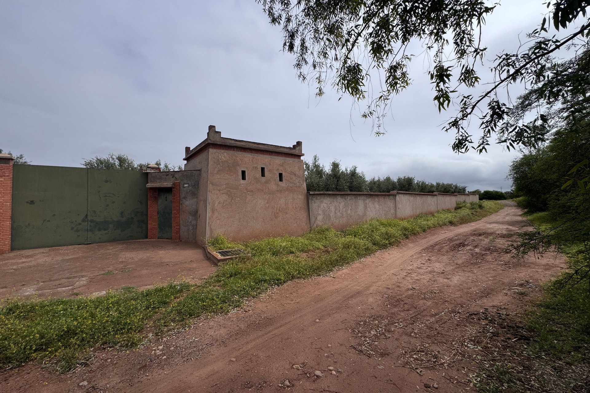 /mi190720/image_287698523.jpeg