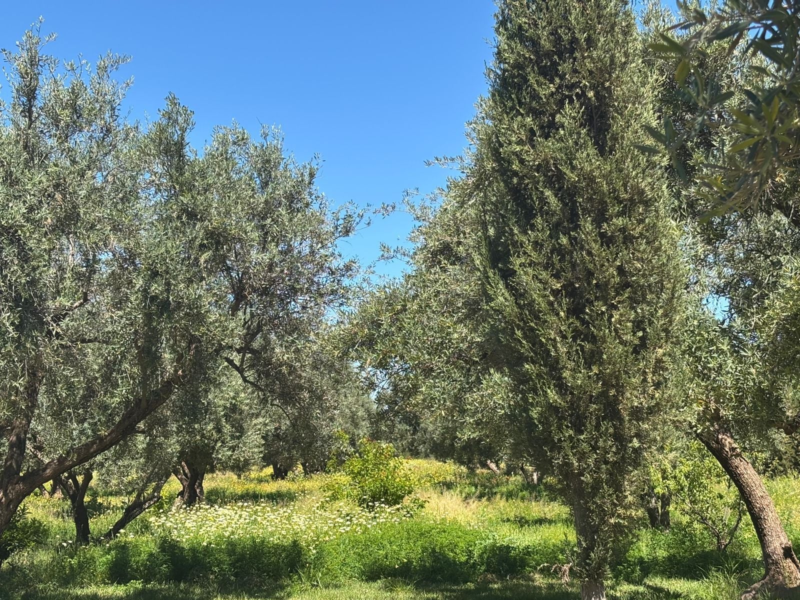 /mi195971/image_863290960.jpeg