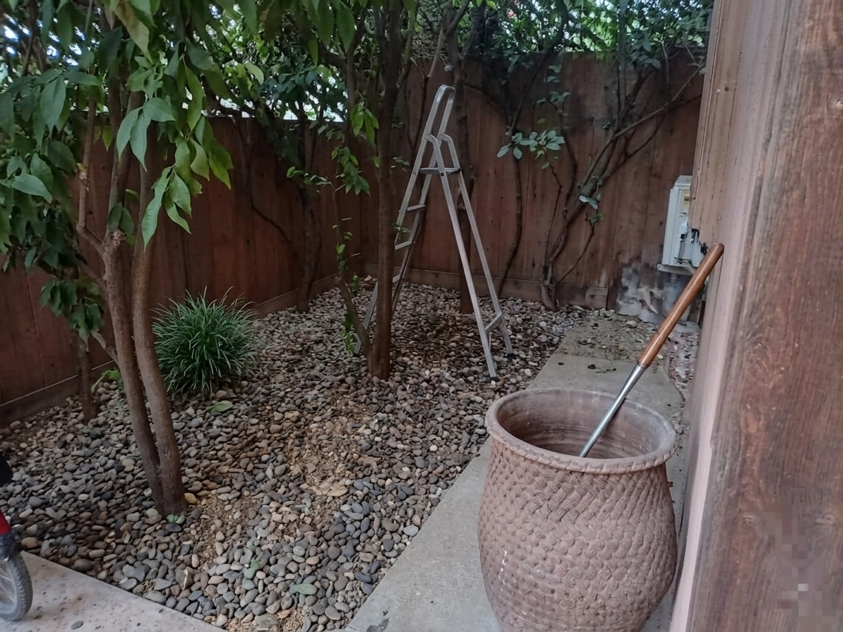 /mi202015/image_89525656.png