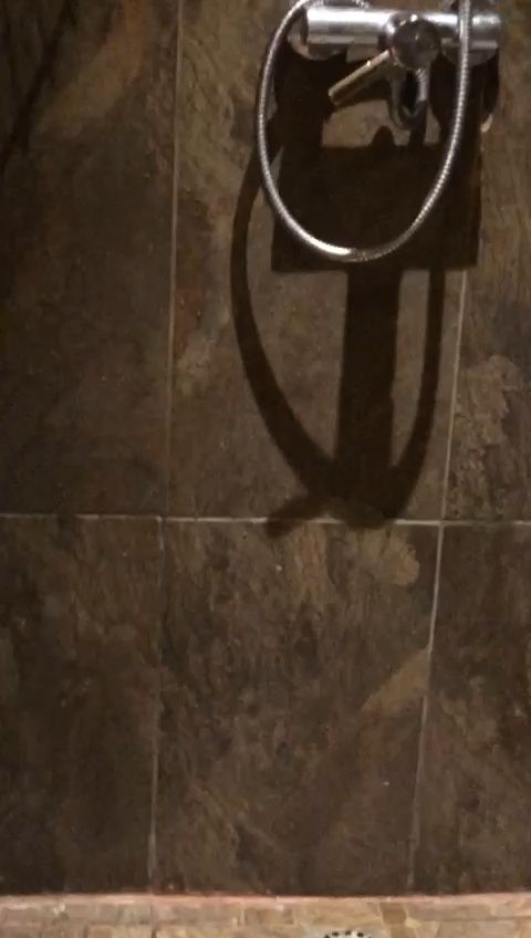 /mi215259/image_170031108.jpg