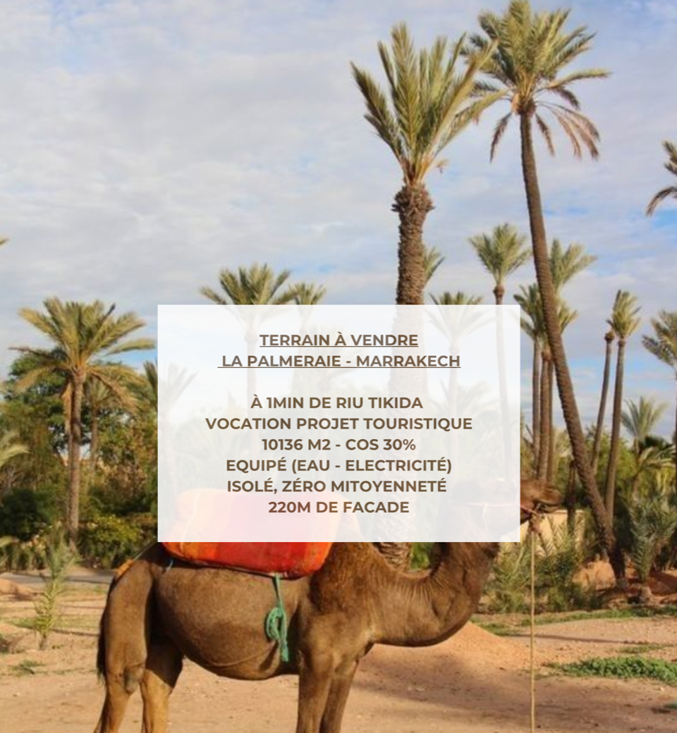 /ml167213/image_426639605.png