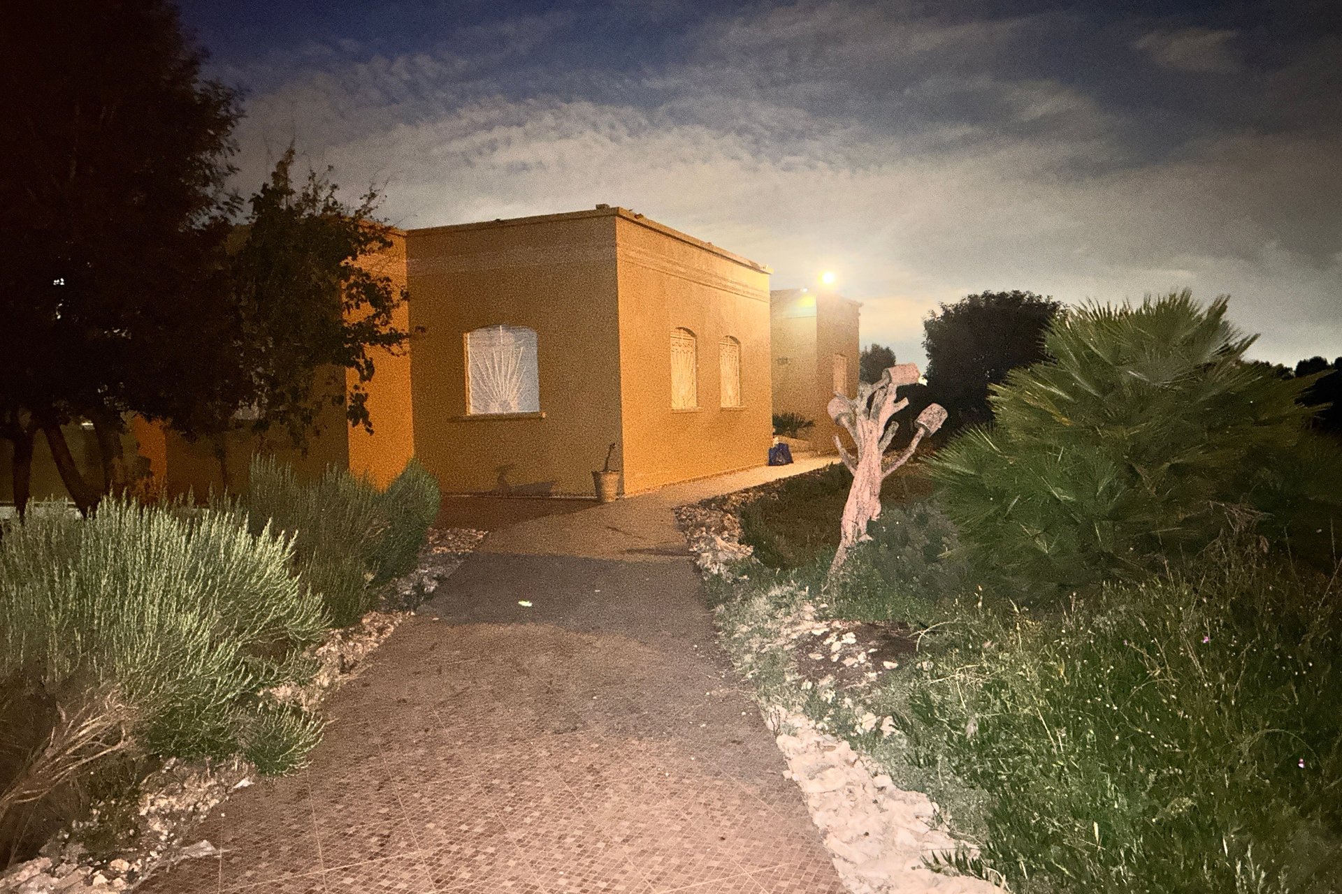 /ni188330/image_494208251.jpeg
