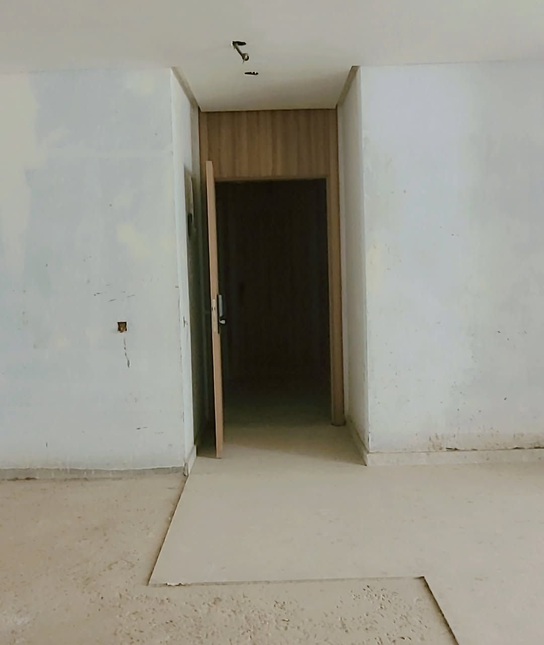 /ra186084/image_824659444.jpg