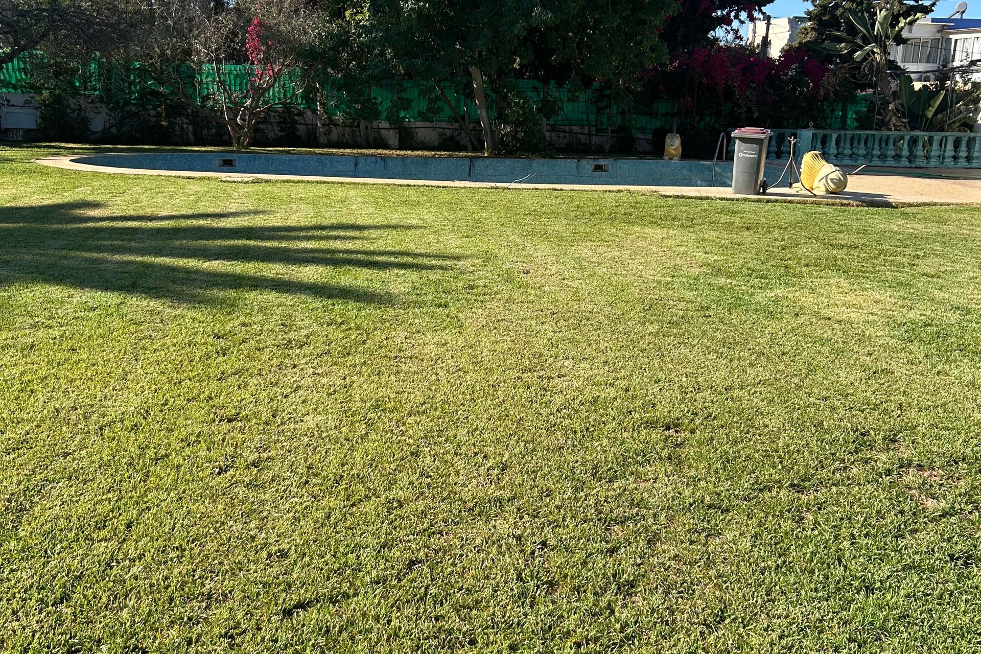 /ri160004/image_726768540.jpg