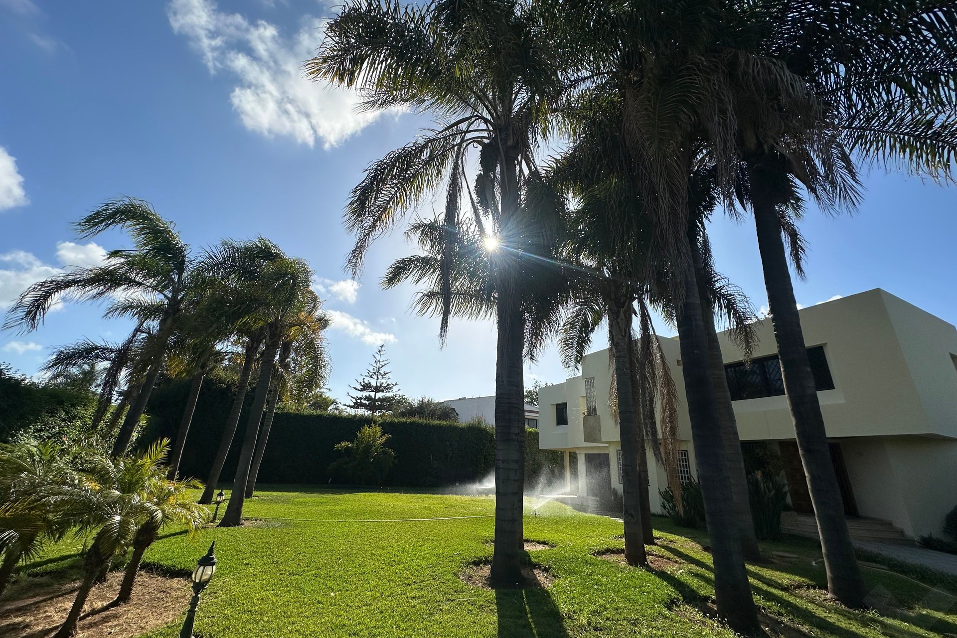 /ri189832/image_497882304.jpeg