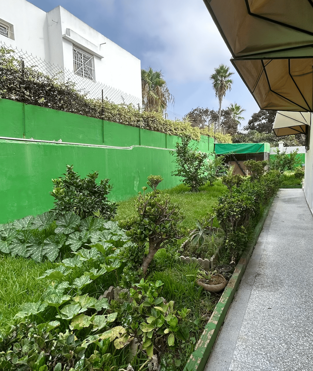 /ri208984/image_940373478.png