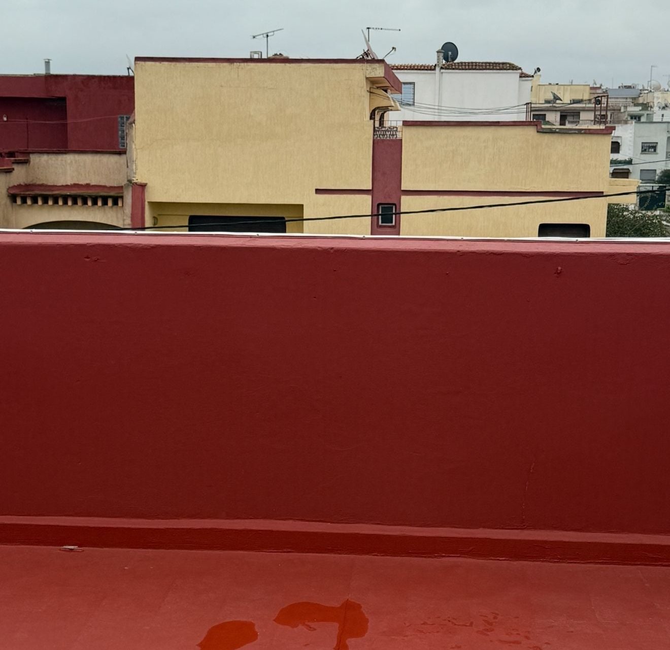 /si177225/image_46104216.png