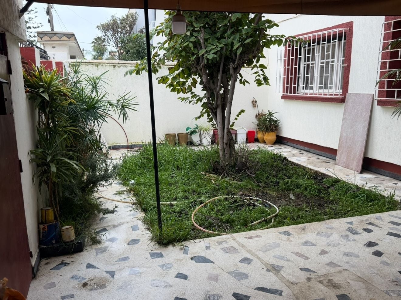 /si177225/image_490133714.png