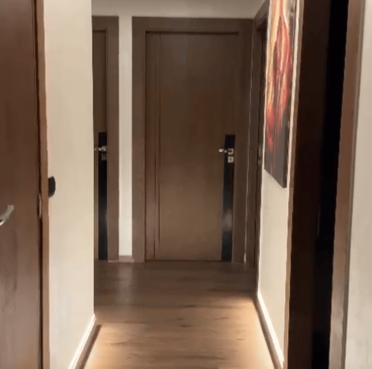 /si183504/image_335069092.png