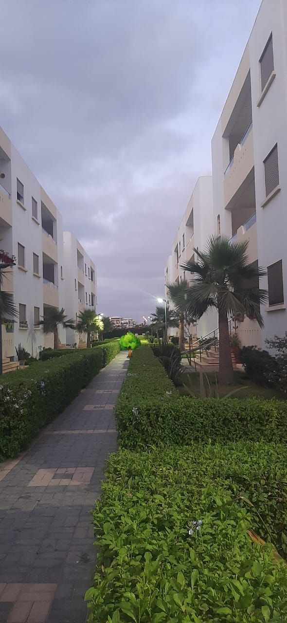 /si186119/image_479169363.jpg