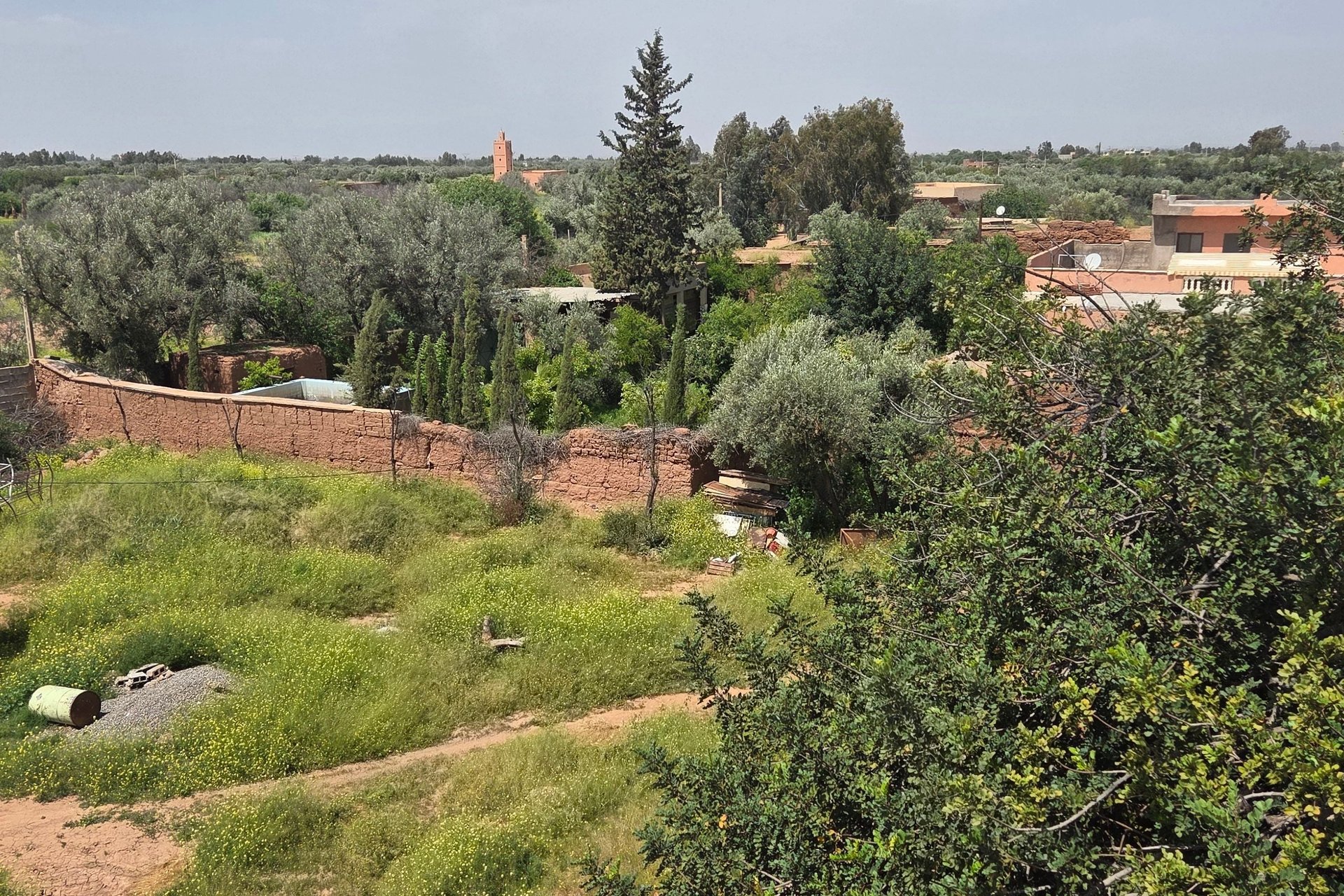 /si187069/image_686778535.jpg
