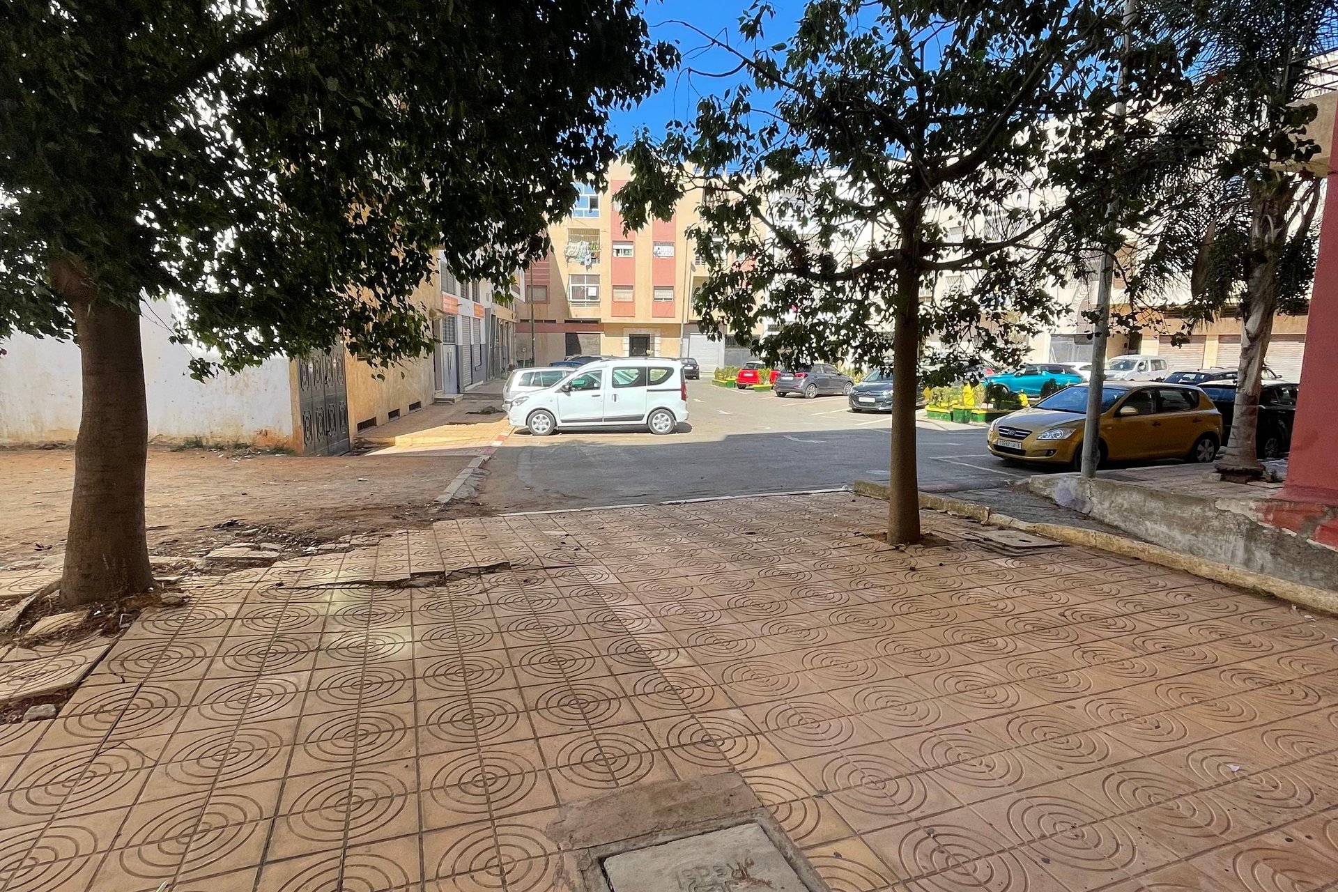 /si196886/image_384499343.jpeg