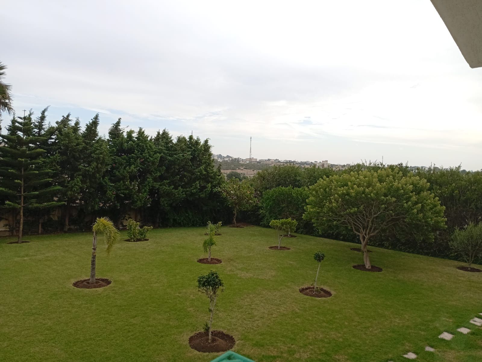 /ta5000412/image_329860545.jpeg