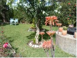 /ti019045/image_234998327.jfif