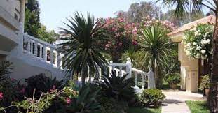 /ti019045/image_872184374.jfif