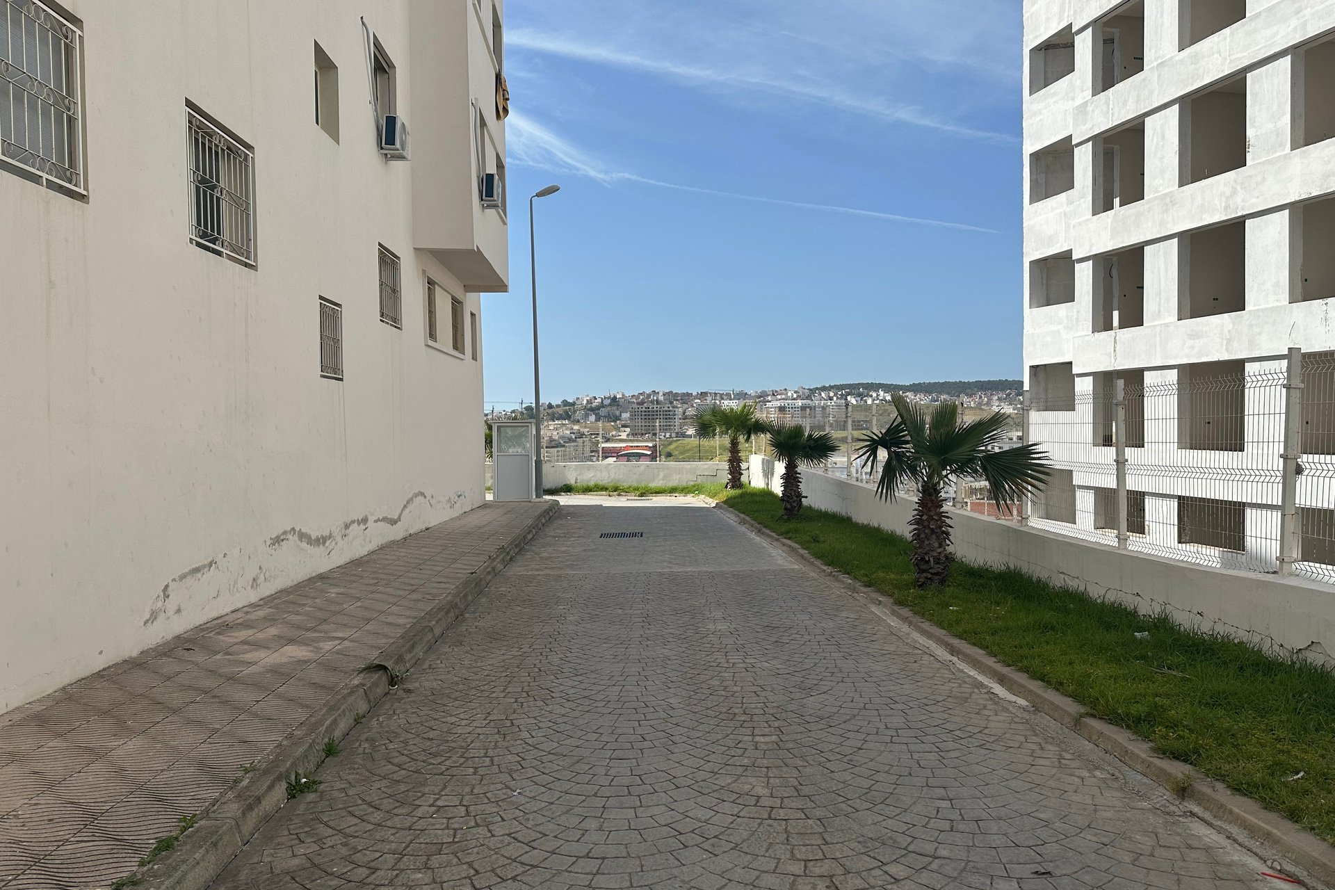 /ti186354/image_330366120.jpeg