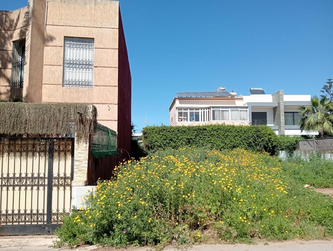 /ti191213/image_398864171.jpeg