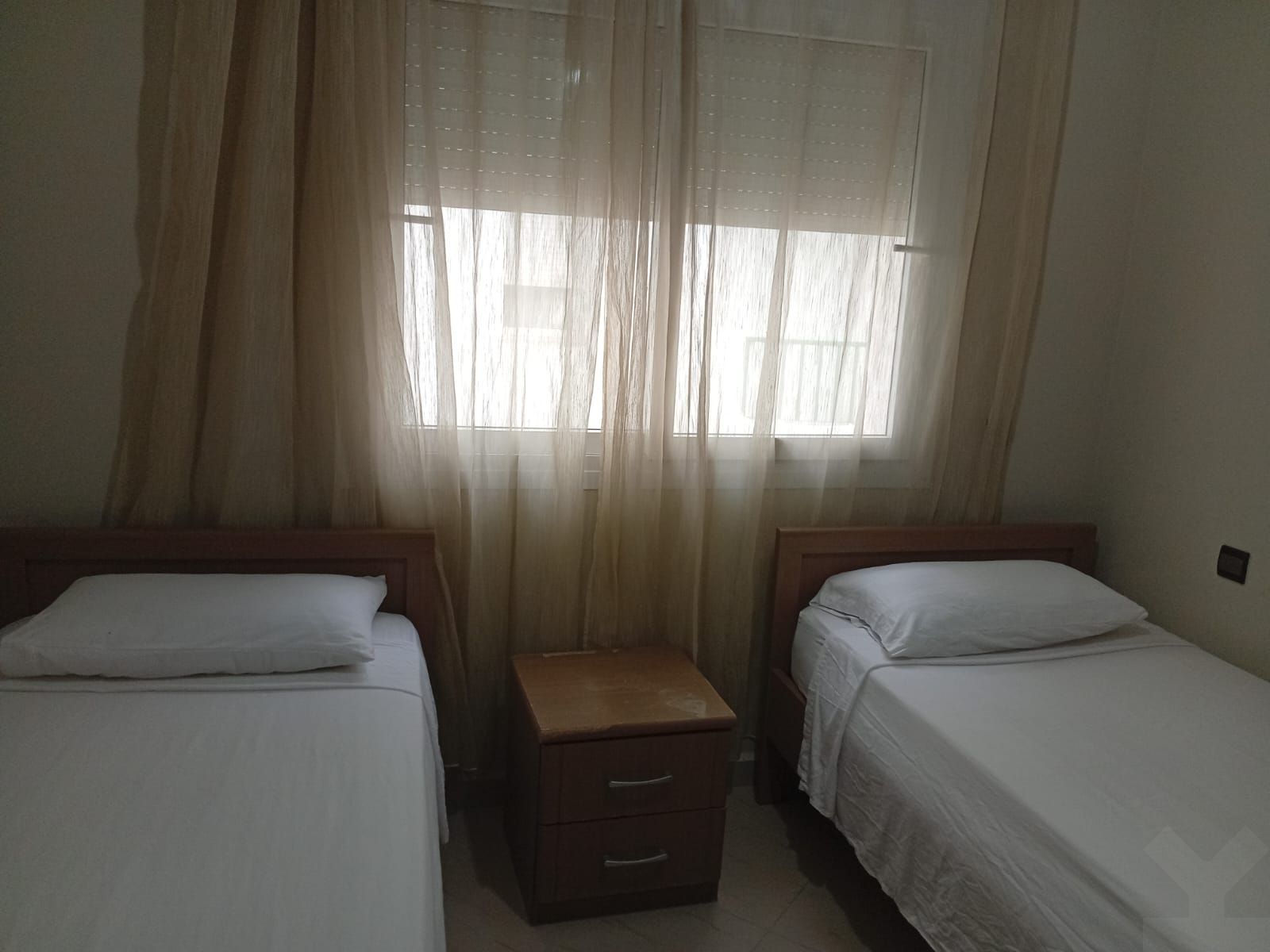 /ti215990/image_508322740.jpeg