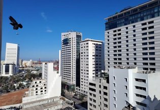 Casablanca