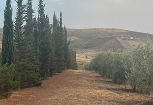 Rabat