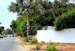 Casablanca