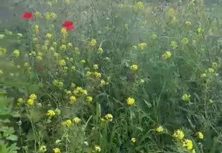 Marrakech